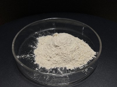 气凝胶保温隔热涂料专用分散剂2516